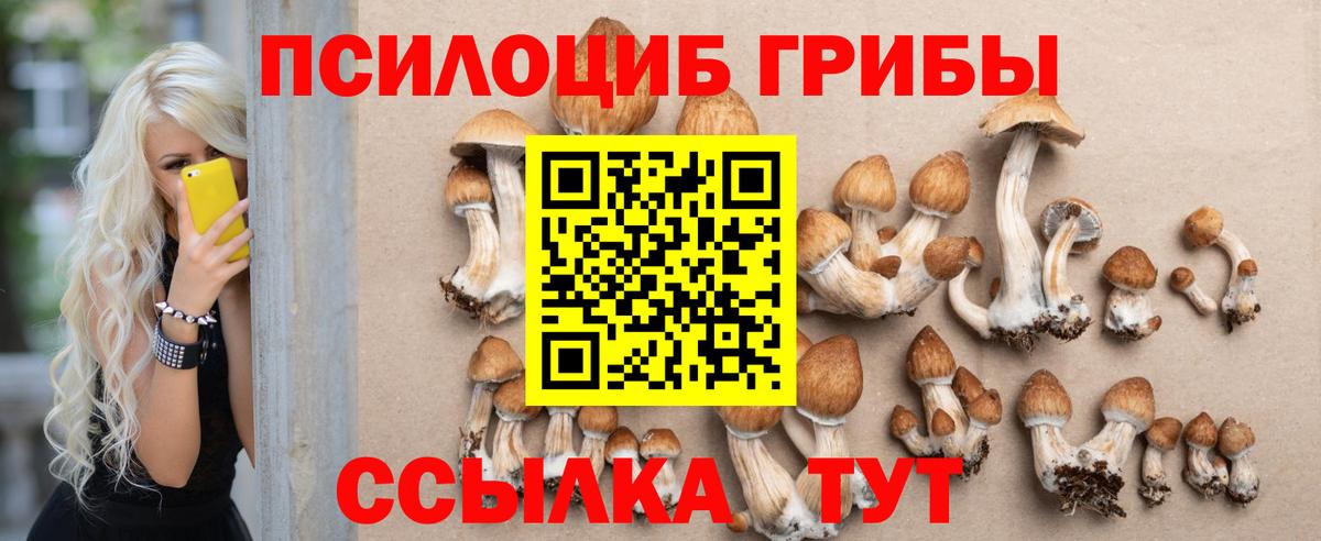 Тара  Псилоцибиновые грибы MAGIC MUSHROOMS  Галлюциногенные грибы мицелий  Вход с VPN 